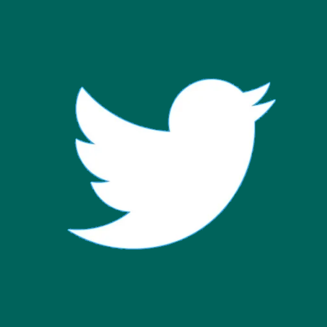 The twitter logo - a stylized bird in profile - appears in white against a dark green background
